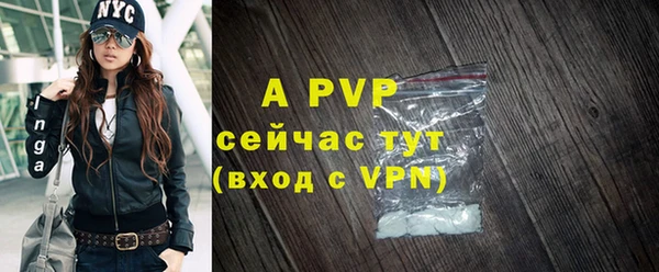 гашик Гусиноозёрск