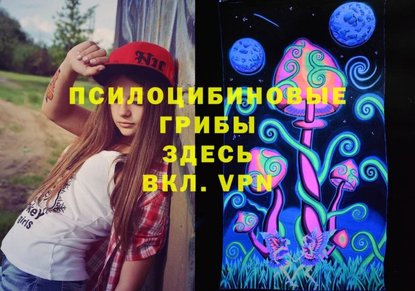 гашик Гусиноозёрск